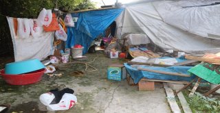 Uçurumdaki Kedisini Kurtarmak İsteyen Yaşlı Kadın Mahsur Kaldı