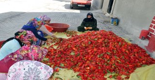 (Özel) Suriye Sınırında Sofralara Tat Veren Acı