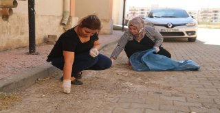 Silopililer Çöp Toplayarak, Çevre Temizliğine Dikkat Çekti