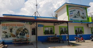 (Özel Haber) Sokak Hayvanları İçin Sosyal Sorumluluk Projesi