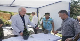 Kütahya Belediyesinden Örnek Hizmet