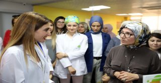 Mardinli Kadınlardan Türkiyeye Örnek Beslenme Okulu