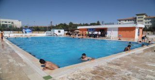 Büyükşehir Yüzme Havuzlarına Yoğun İlgi