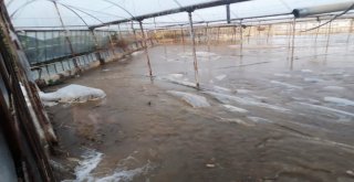 Antalyada Yaz Ayında Seraları Su Bastı