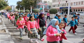 Niğdede Dünya Yürüyüş Günü Etkinliği
