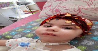 Sma Hastası Arifenin Annesi Yardım Kampanyasına Destek İstiyor