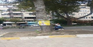 Bayram Boyunca Hatalı Sürücüye Kırmızı Düdük