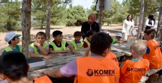 Usta: Genç Komek Yaz Kampı Bütün Türkiyede Uygulanabilecek Örnek Bir Proje”