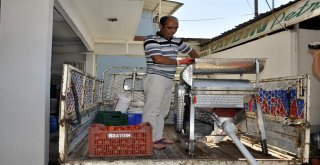 Kadınlar ‘Alo Salçacı İle Büyük Dertten Kurtuldu