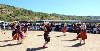 Nuru Mahallesi 2. İncir Ve Fıstık Festivali Yapıldı