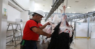 Mobil Kesim Üniteleri Hijyen Ve Güvenin Adresi Oldu