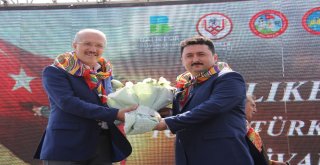 14.uluslararası Yörük Ve Türkmen Festivali Yapıldı