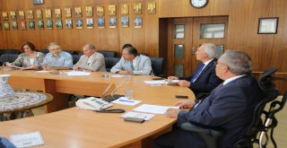 Vali Nayir: Domaniç Zengin Tarihi, Kültürel Ve Doğal Güzellikleriyle Kütahyanın Ortak Bir Değeridir