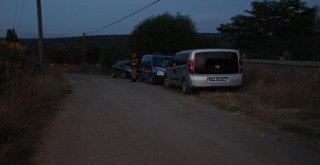 Kayıp Evrimin Dedesinin Mezarında Arandı