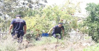 Hortumun Yetişmediği Yerleri Su Kovalarıyla Söndürdüler