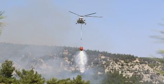 Karabükte Orman Yangını