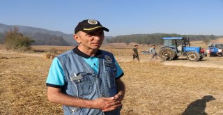 Tarım Arazisinde Başlayan Yangında 15 Hektar Alan Zarar Gördü