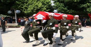 Hakkari Şehidi Son Yolculuğuna Uğurlandı