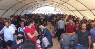 22 Bin Suriyeli Bayrama Gitti