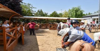 Altınparkta Midilli Keyfi