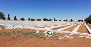 Adıyamanda Ağaçlandırma Çalışmalarına Hız Verildi