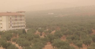 Nizipte Toz Bulutundan Araçlar Etkilendi