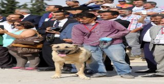 Başkan Yaşar, Sivas Tanıtım Günlerine Katıldı