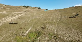 Türkiyede Bir İlk Zigana Dağında Gerçekleştiriliyor