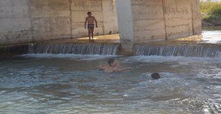 Yüksekovalı Gençler Köprücük Deresinde Serinliyor