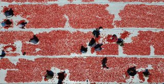 İzmir Ovaları Kırmızıya Büründü