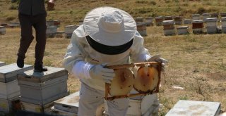 Terör Bitti Bölgeye Huzur Geldi