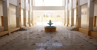 Suriyede Kurulan Harran Üniversitesi Eylülde Eğitime Başlıyor