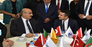 Vali Demirtaş, Mega Petrokimya Endüstri Bölgesi Alanında İncelemelerde Bulundu