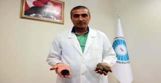 Üniversite ‘Mor Patates Geliştirdi