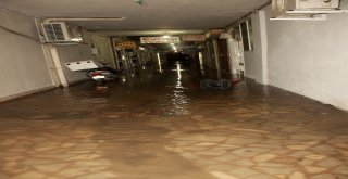 Yalova Sele Teslim Oldu