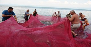 (Özel Haber) Balıkçılar Bu Balığa Av Yasağı Getirilmesini İstiyor