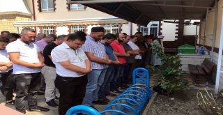 Minik Ali Demir Gözyaşları Arasında Defnedildi