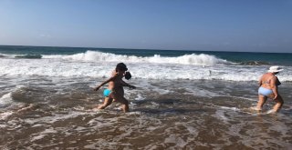 Sabah Plaja Gelen İşletmeci Gözlerine İnanamadı