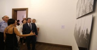 ‘Düşler Ülkesi: Troya