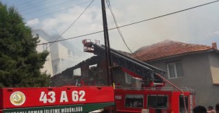 Köyde Çıkan Yangında 2 Büyükbaş Hayvan Ve 2 Köpek Telef Oldu