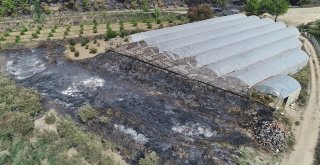 Antalyada Yangının Ardından Ürküten Manzara