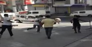 Esenyurtta Kaçan Kurbanlık Boğa, Dehşet Saçtı