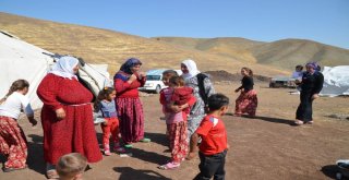 Gurbetteki Göçerler Yaylada Bayramlaştı