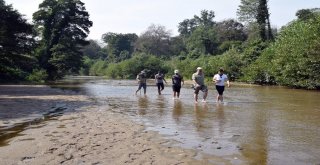 Kırklareli İğneada Longoz Ormanlarında Eko Turizm