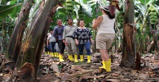 Alanya Muzunun Sırrı Araştırılıyor