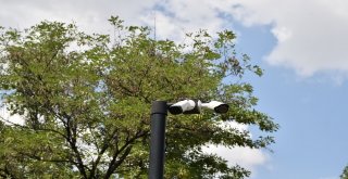 Başkentteki Parklara 24 Saat Kameralı Gözetim