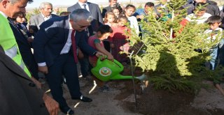 Niğdede Fidanlar Toprakla Buluştu