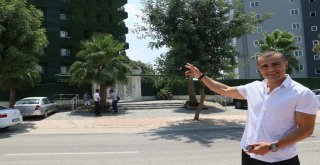 Dört Bir Yanı Sarmaşıklarla Kaplı Türkiyenin Tek Yeşil Apartmanı Adanada