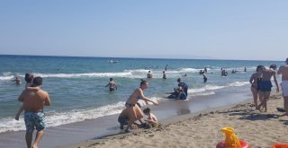 (Özel) Kurban Bayramında Sahiller Doldu Taştı