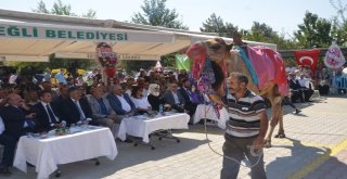 Ereğlide, 3. Tarım Ve Hayvancılık Fuarı Açıldı